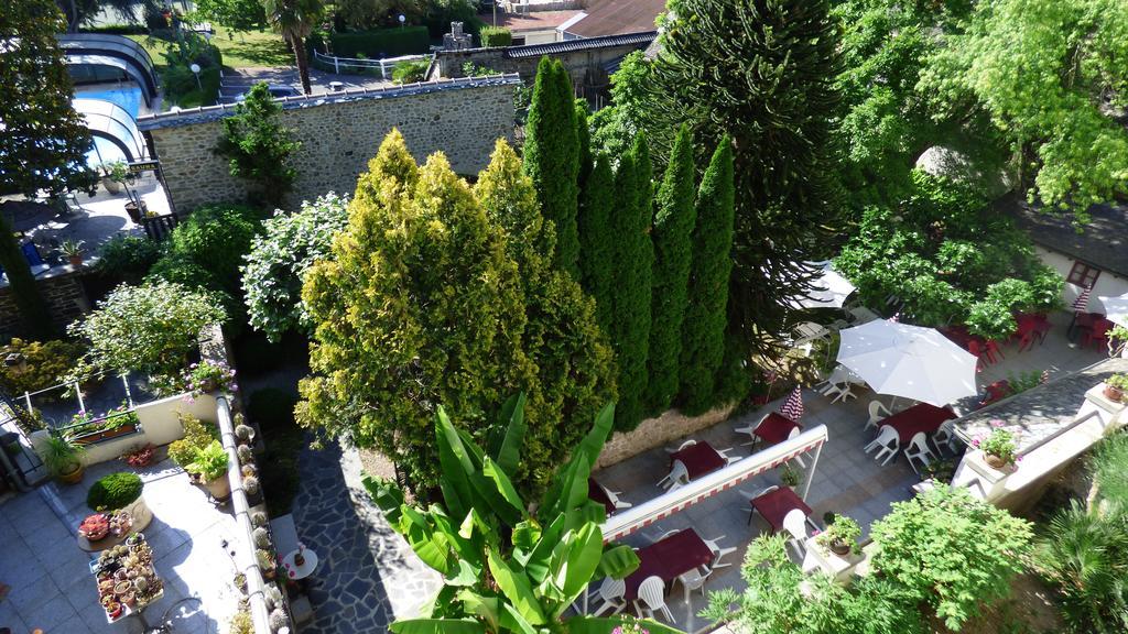 Hotel Du Lion D'Or Entraygues-sur-Truyère الغرفة الصورة